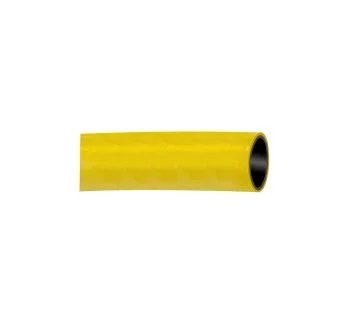 WS24X19-25