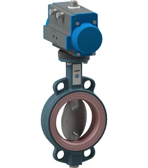 BUW2-300-DSC-D32