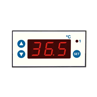 ST70-31.03N PT100 12-24V K1K3